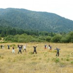 Dance on Land, inkGround, Shinichi Iova-Koga, Dana Iova-Koga