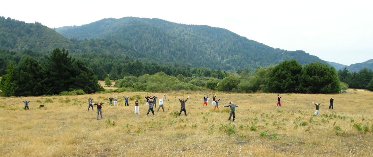 Dance on Land, inkGround, Shinichi Iova-Koga, Dana Iova-Koga