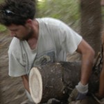 Dance on Land, inkGround, Shinichi Iova-Koga, Dana Iova-Koga