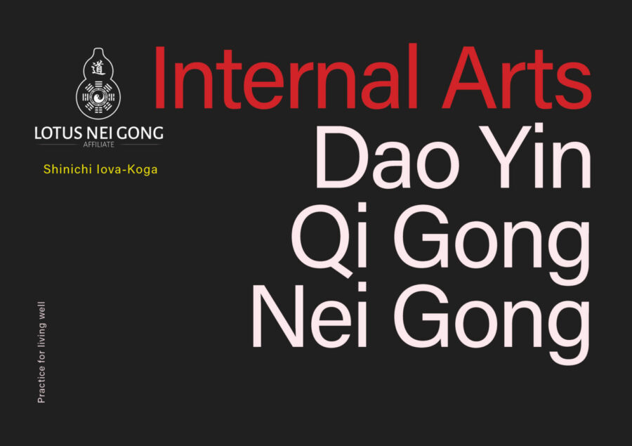 Dao Yin, Qi Gong, Nei Gong