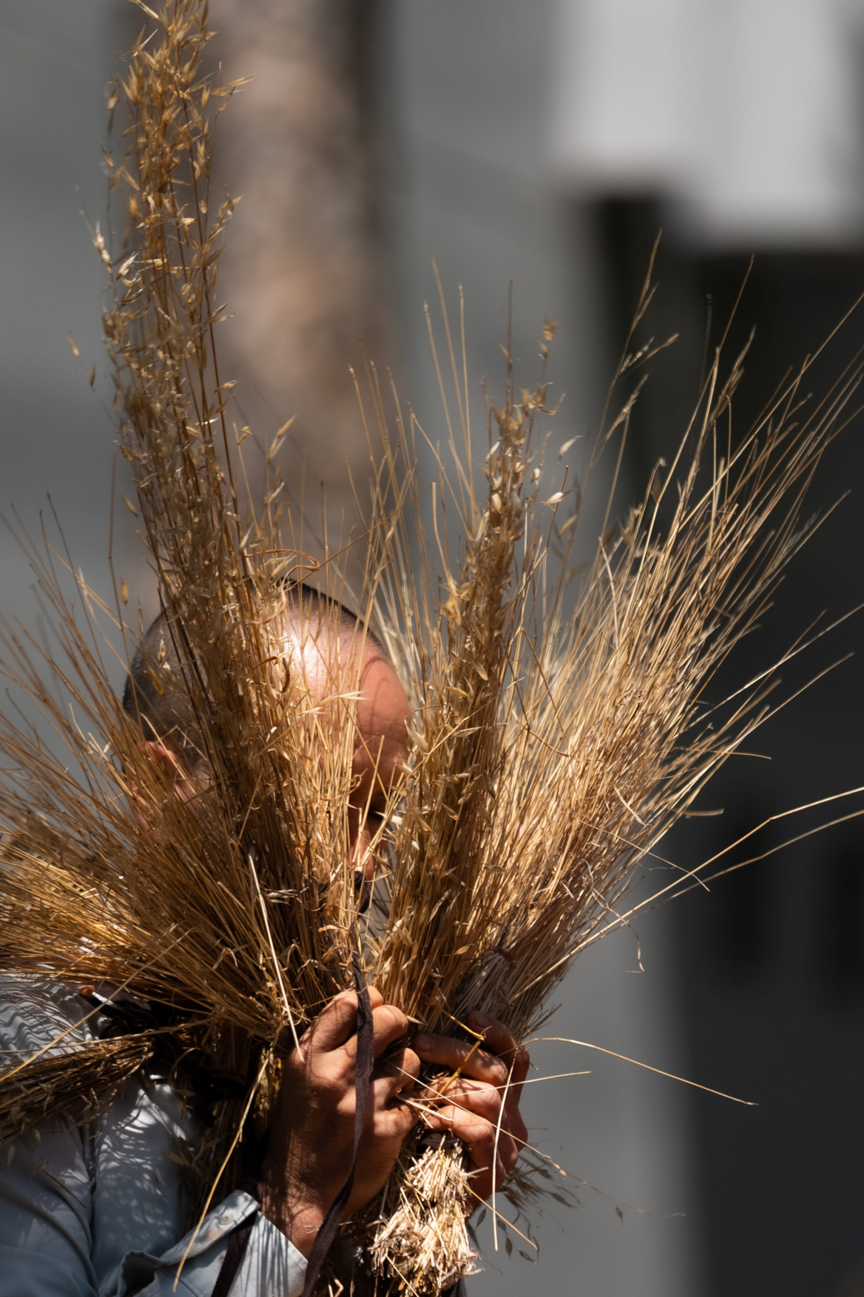 Shinichi Iova-Koga behind dry grasses.